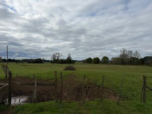 Campo agrícola-ganadero 30,35 ha en Chacayal, San Pablo (Los Lagos), Los Lagos, San Pablo, foto 6