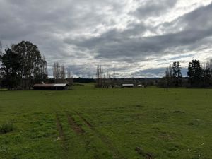 Campo agrícola-ganadero 30,35 ha en Chacayal, San Pablo (Los Lagos), Los Lagos, San Pablo, foto 5