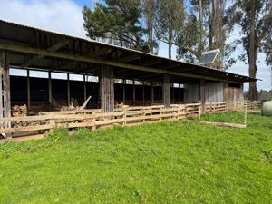 Campo agrícola-ganadero 30,35 ha en Chacayal, San Pablo (Los Lagos), Los Lagos, San Pablo, foto 14
