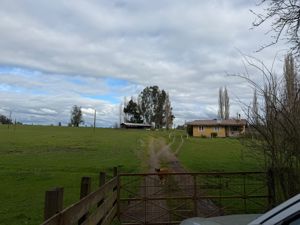 Campo agrícola-ganadero 30,35 ha en Chacayal, San Pablo (Los Lagos), Los Lagos, San Pablo, foto 2