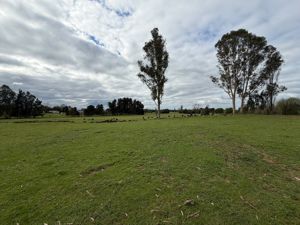 Campo agrícola-ganadero 30,35 ha en Chacayal, San Pablo (Los Lagos), Los Lagos, San Pablo, foto 3