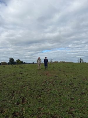 Campo agrícola-ganadero 30,35 ha en Chacayal, San Pablo (Los Lagos), Los Lagos, San Pablo, foto 13