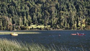 Parcela 11 de 5.000 m² con 58 m de orilla de lago en Lago Portales, Aysén, Aysén, Aysén, foto 6