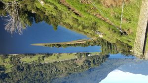 Parcela 11 de 5.000 m² con 58 m de orilla de lago en Lago Portales, Aysén, Aysén, Aysén, foto 8