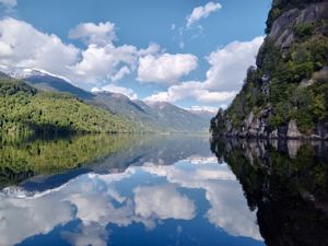 Parcela 11 de 5.000 m² con 58 m de orilla de lago en Lago Portales, Aysén, Aysén, Aysén, foto 2