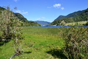 Parcela 11 de 5.000 m² con 58 m de orilla de lago en Lago Portales, Aysén, Aysén, Aysén, foto 7