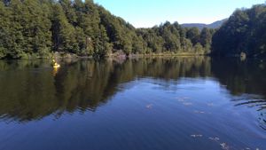 Parcela 10 de 5.000 m² con 58 m de orilla de lago en Lago Portales, Aysén, Aysén, Aysén, foto 2
