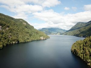 Parcela 10 de 5.000 m² con 58 m de orilla de lago en Lago Portales, Aysén, Aysén, Aysén, foto 6