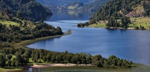 Parcela 10 de 5.000 m² con 58 m de orilla de lago en Lago Portales, Aysén, Aysén, Aysén, foto 8