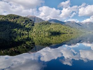 Parcela 10 de 5.000 m² con 58 m de orilla de lago en Lago Portales, Aysén, Aysén, Aysén, foto 3