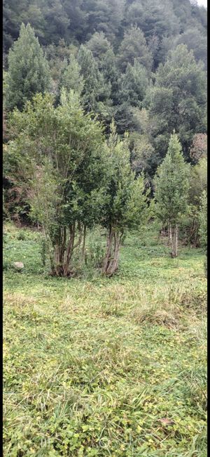 Parcela 5500mts cuadrados, Aysén, Coyhaique, foto 12