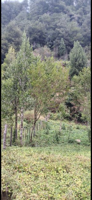 Parcela 5500mts cuadrados, Aysén, Coyhaique, foto 13