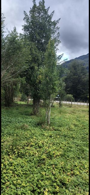 Parcela 5500mts cuadrados, Aysén, Coyhaique, foto 5
