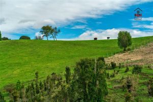 Parcela en Venta en Ruta 5 S, N, Sector Pupelde, Frente a Aeródromo, Ancud, Los Lagos, Ancud, foto 5