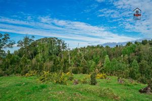 Parcela en Venta en Ruta 5 S, N, Sector Pupelde, Frente a Aeródromo, Ancud, Los Lagos, Ancud, foto 9