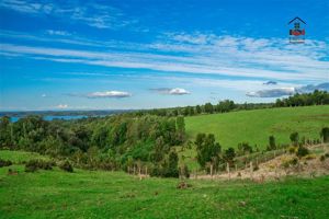 Parcela en Venta en Ruta 5 S, N, Sector Pupelde, Frente a Aeródromo, Ancud, Los Lagos, Ancud, foto 12