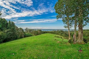 Parcela en Venta en Ruta 5 S, N, Sector Pupelde, Frente a Aeródromo, Ancud, Los Lagos, Ancud, foto 14