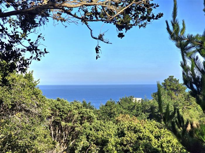 Parcela en Venta en Coliumo, Los Morros, Punta Talca