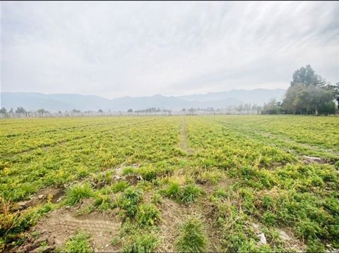 Parcela en Venta en OPORTUNDAD UNICA !!! TERRENO DE INMENSA PLUSVALIA EN RINCONADA LOS ANDES, CARRETERA SAN MARTIN