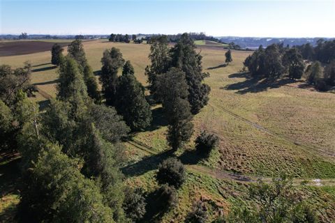 Parcela en Venta en HERMOSA PARCELA DE AGRADO 5.000 M2 NUEVA BRAUNA