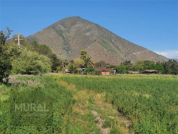 Parcela en Venta en Camino lonquen Sur con Carampangue, colegio Trebulco, Isla de Maipo