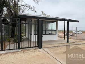 Galeria