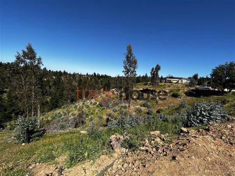 Parcela en Venta en Pupuya, Navidad