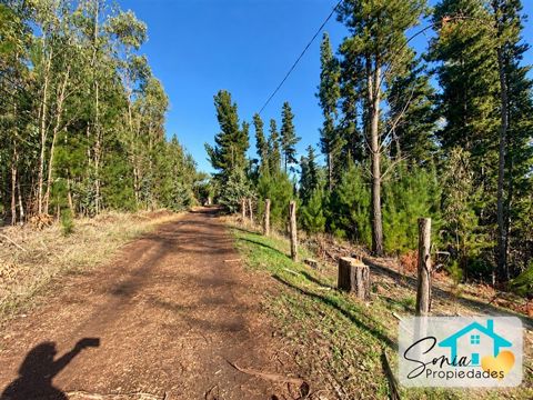 Parcela en Venta en CHOLCHOL- CAMINO A GALVARINO
