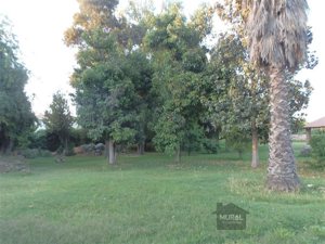 Parcela en Venta en Avda Peñaflor con Las Palmeras, condominio, Metropolitana, Peñaflor, foto 14
