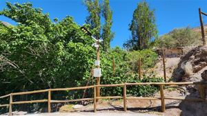 Parcela en Venta en Ruta D-485, km 3,4, sector Tres Cruces, Paihuano, Coquimbo, Paiguano, foto 6