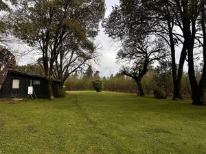 Parcela en Venta en HERMOSA PARCEL PRODUCTIBA SECTOR PUENTE ÑUBLE, Ñuble, Chillán, foto 15