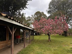 Parcela en Venta en HERMOSA PARCEL PRODUCTIBA SECTOR PUENTE ÑUBLE, Ñuble, Chillán, foto 6