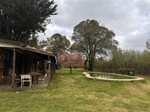 Parcela en Venta en HERMOSA PARCEL PRODUCTIBA SECTOR PUENTE ÑUBLE, Ñuble, Chillán, foto 5