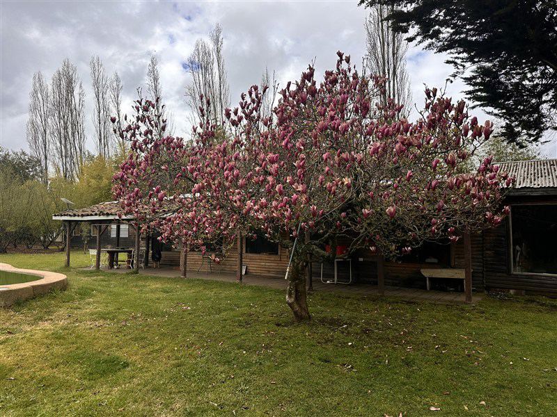 Parcela en Venta en HERMOSA PARCEL PRODUCTIBA SECTOR PUENTE ÑUBLE, Ñuble, Chillán