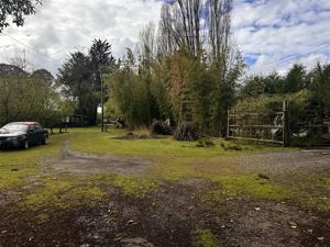Parcela en Venta en HERMOSA PARCEL PRODUCTIBA SECTOR PUENTE ÑUBLE, Ñuble, Chillán, foto 11