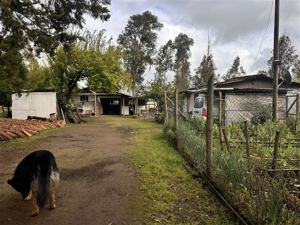 Parcela en Venta en HERMOSA PARCEL PRODUCTIBA SECTOR PUENTE ÑUBLE, Ñuble, Chillán, foto 10