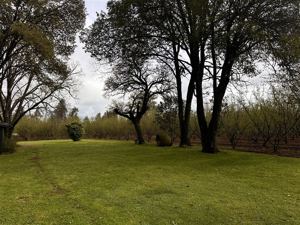 Parcela en Venta en HERMOSA PARCEL PRODUCTIBA SECTOR PUENTE ÑUBLE, Ñuble, Chillán, foto 9