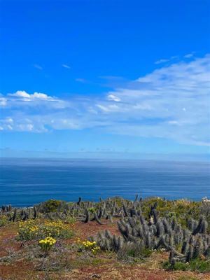 Parcela en Venta en OVALLE, Coquimbo, Ovalle, foto 7