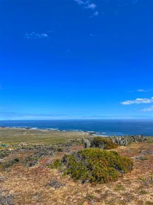Parcela en Venta en OVALLE, Coquimbo, Ovalle, foto 9