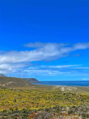 Parcela en Venta en OVALLE, Coquimbo, Ovalle, foto 13