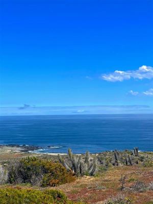 Parcela en Venta en OVALLE, Coquimbo, Ovalle, foto 14