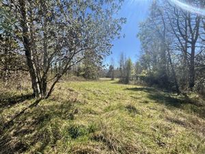 Parcela en Venta en Sector Los Guindos, camino Parque del Lago, Villarrica, La Araucanía, Villarrica, foto 10
