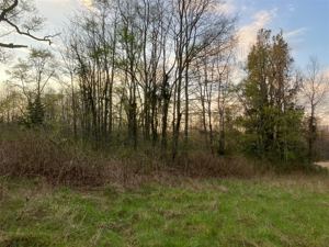 Parcela en Venta en Sector Los Guindos, camino Parque del Lago, Villarrica, La Araucanía, Villarrica, foto 7