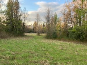 Parcela en Venta en Sector Los Guindos, camino Parque del Lago, Villarrica, La Araucanía, Villarrica, foto 15
