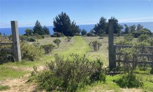 Lot for Sale in Matanza, Playa Chorrillos, Bernardo OHiggins, Navidad, foto 5