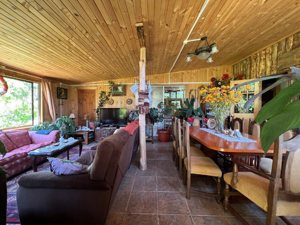 Parcela en Venta en Freire, Parcela, La Araucanía, Freire, foto 15