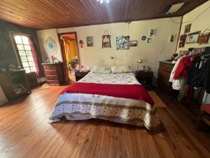 Parcela en Venta en Freire, Parcela, La Araucanía, Freire, foto 12