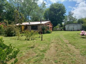 Parcela en Venta en Freire, Parcela, La Araucanía, Freire, foto 4