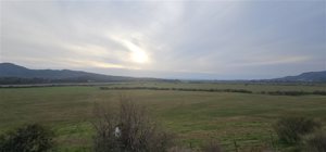 Parcela en Venta en Valle de los Artistas, Maule, Hualañe, foto 14
