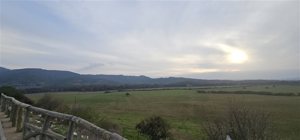Parcela en Venta en Valle de los Artistas, Maule, Hualañe, foto 13